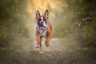 course en pleine séance photo