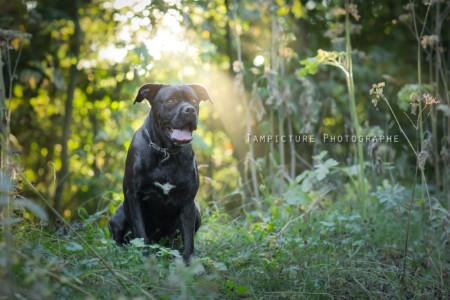 Elle pose devant l'objectif pour une jolie photo