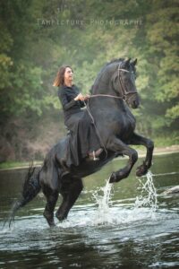saut de cheval lors d'un shooting photo